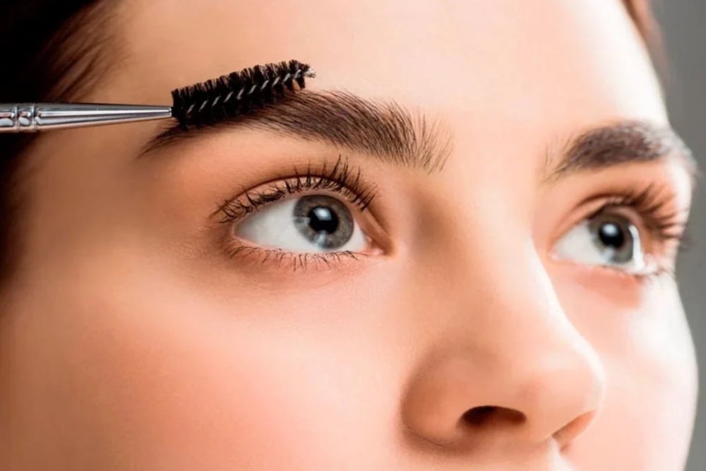 eyebrow transplant