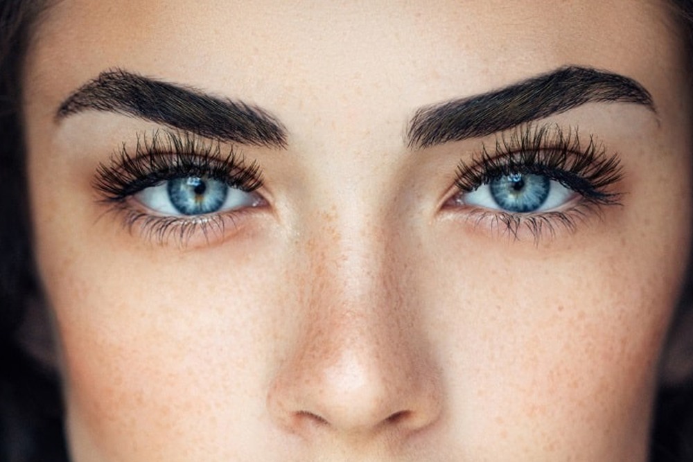 Eyebrow Transplant